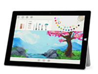 凤冈Surface 无法开启、Windows 无法启动或电池无法充电